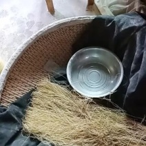 纯手工农家粉丝