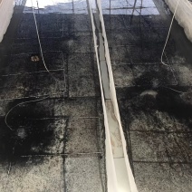超大型牛蛙苗培育机地