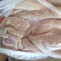牛肚