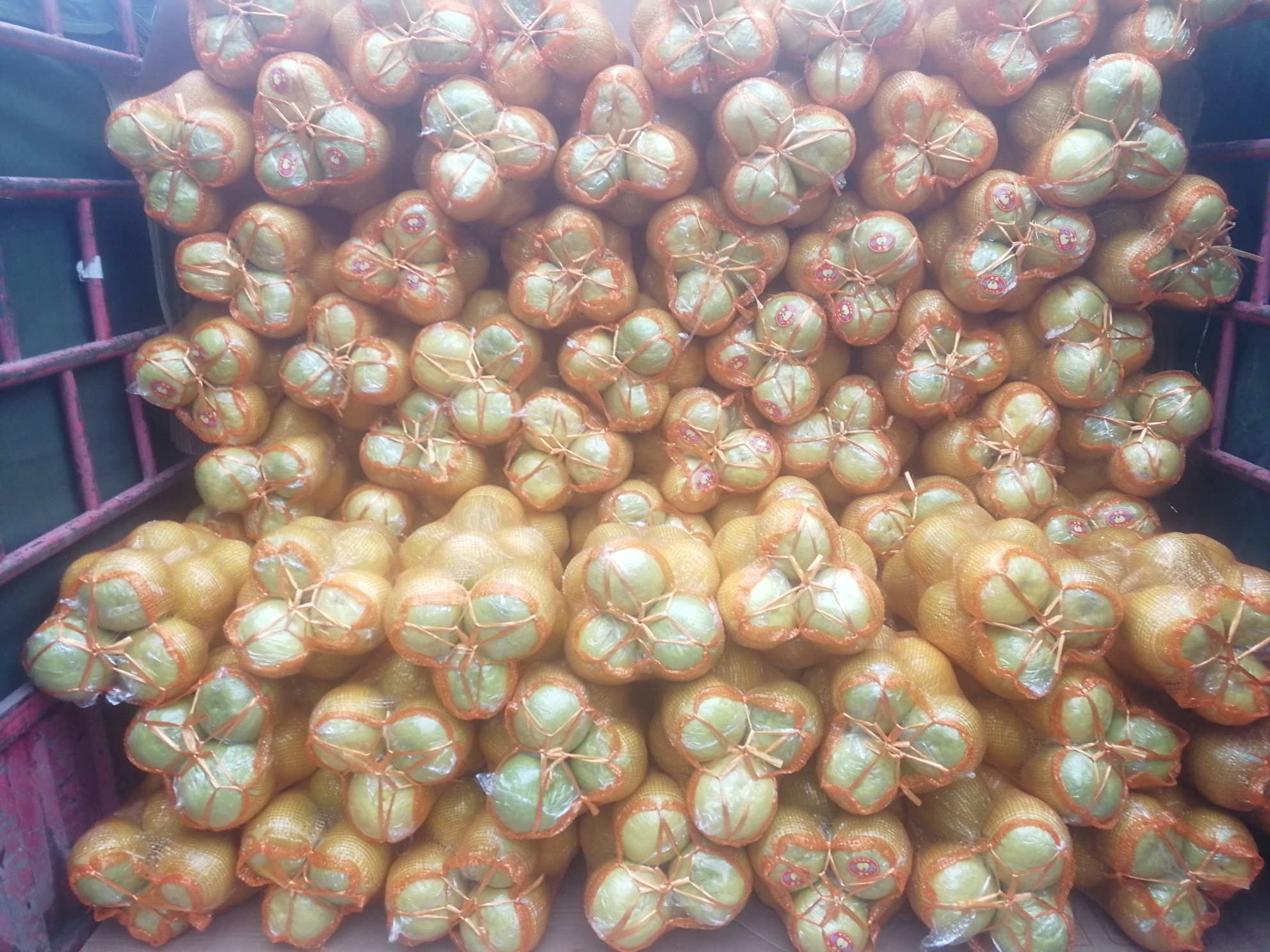 沙田柚包装与销售