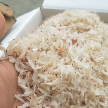 淡干虾皮