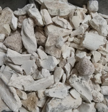 龙骨,水洗龙骨,优质货源欢迎采购