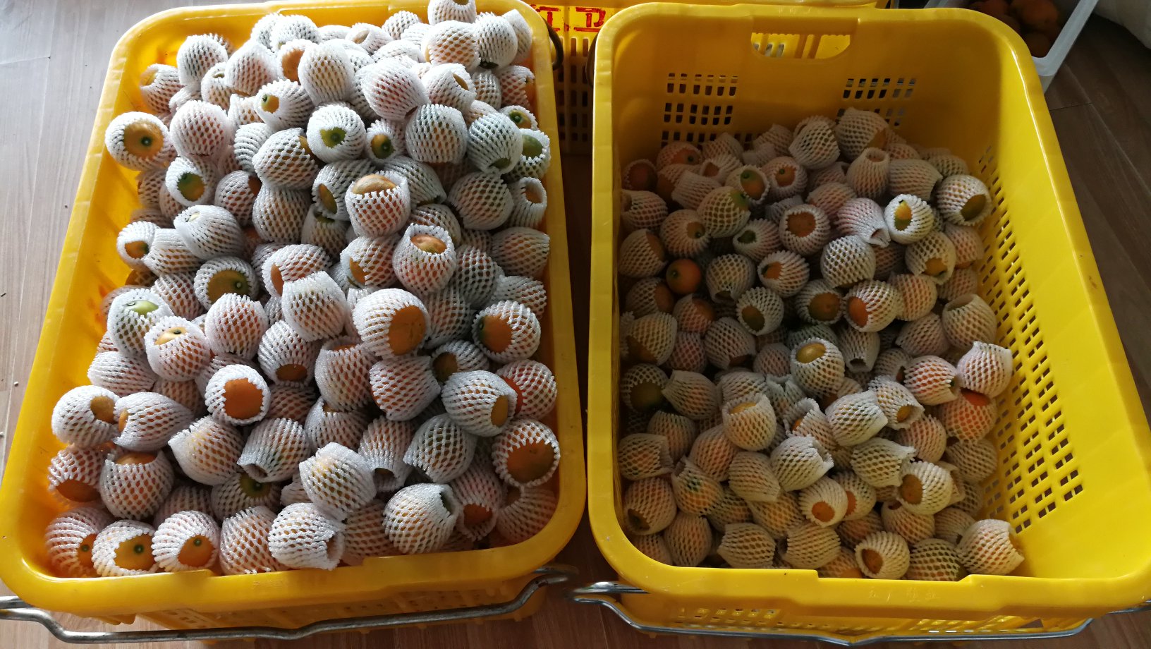 金桔放在竹篮中