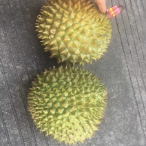 干尧榴莲
