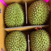 干尧榴莲