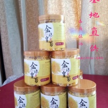 基地直供金丝皇菊