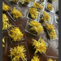 金丝皇菊茶