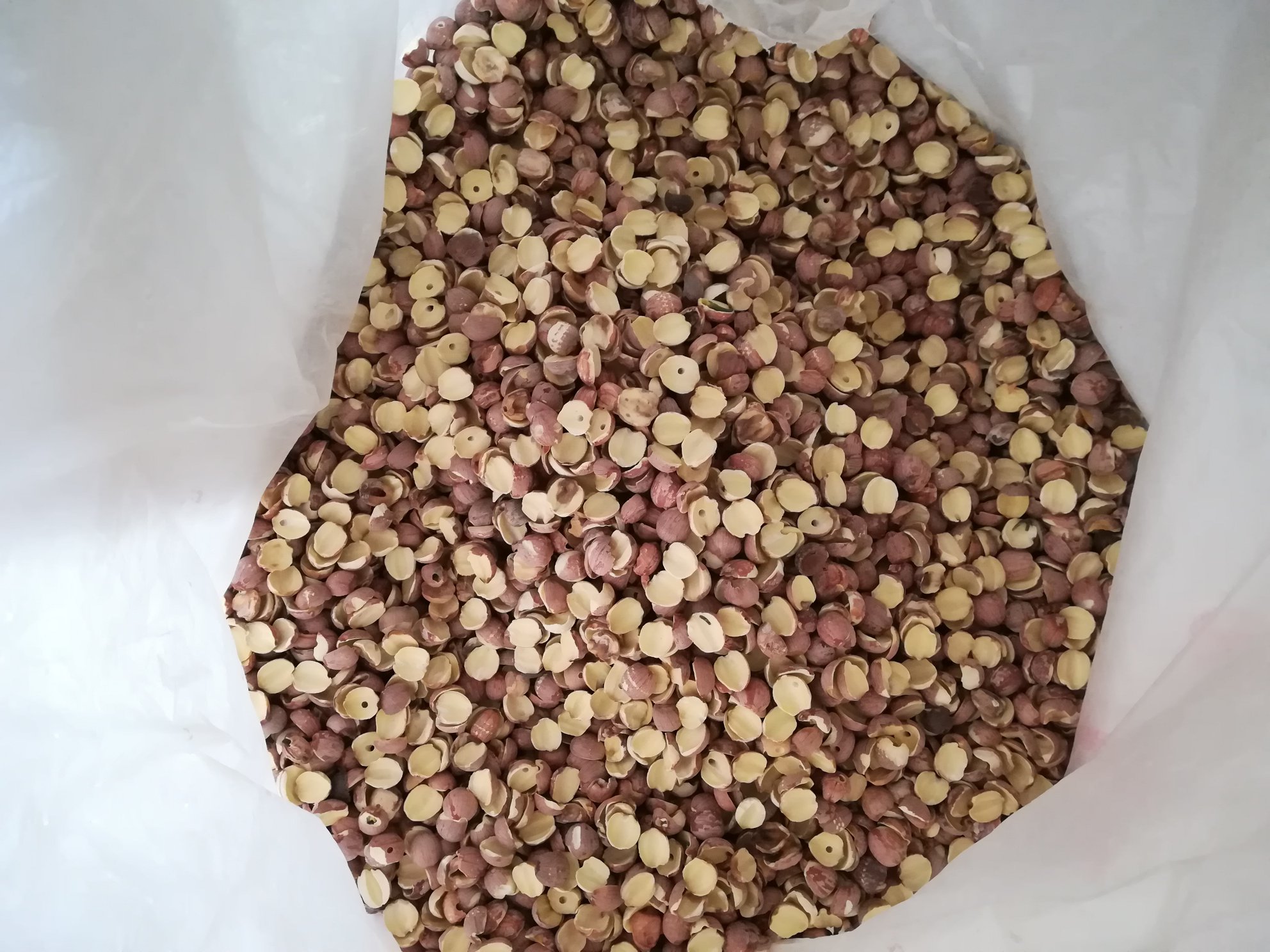 红莲子与白莲子在厨房中的应用
