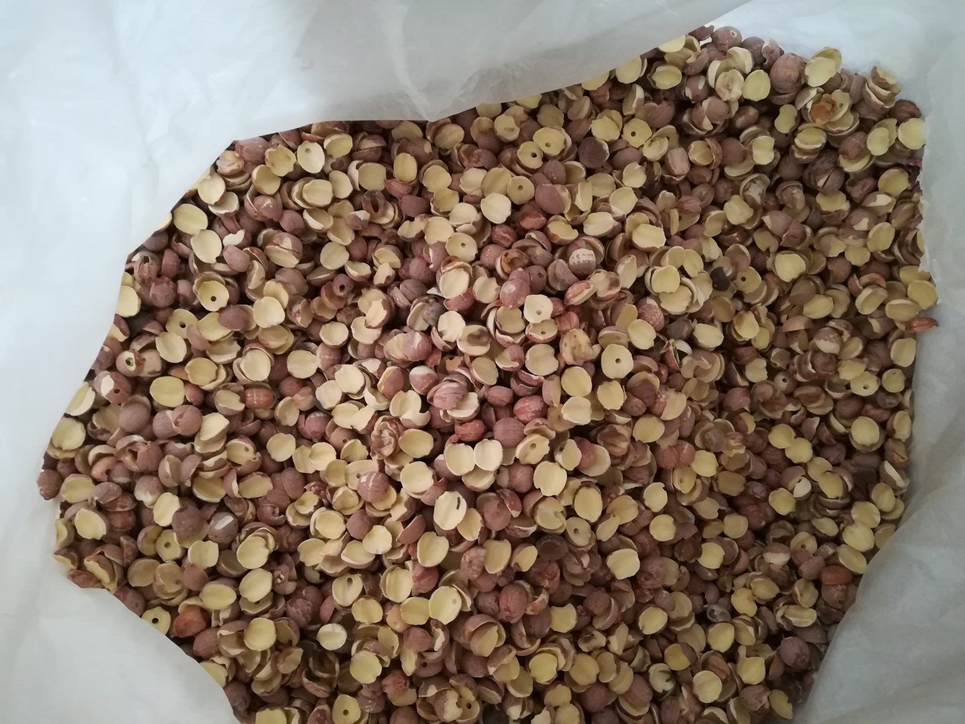 红皮莲子炖汤成品图