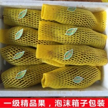 雪莲果