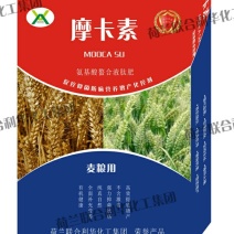 摩卡素