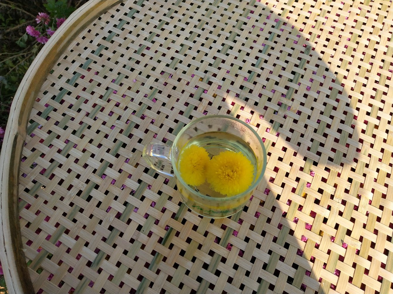 金丝皇菊茶冲泡后的效果