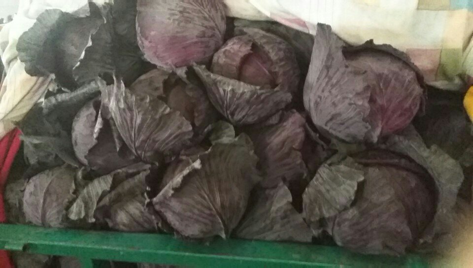 紫甘蓝在冰箱冷藏环境中的状态对比图