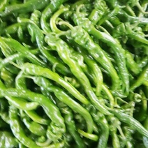 中螺丝，大尖椒，大螺丝，小螺丝