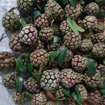 布福娜