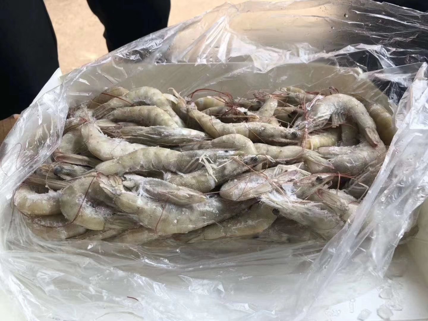 凤尾对虾裹粉过程图
