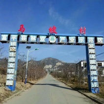 柿饼