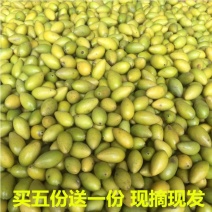 橄榄