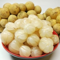 龙宫果
