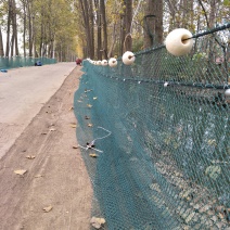 拉网，网箱，抬网