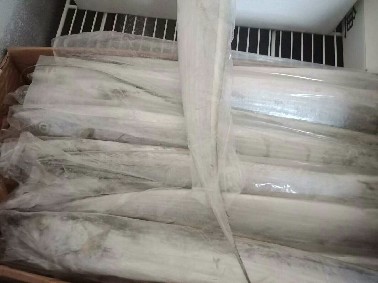 带鱼冷冻保存示意图