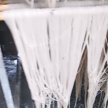 纯红薯粉丝上试了。