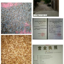 黄粉虫
