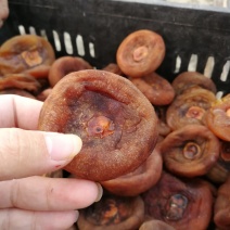 挑选出来的次品，尾货圆柿饼烂柿饼，特价出