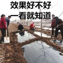 地膜