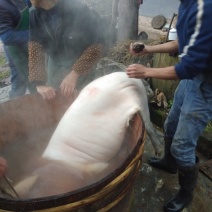 农村猪肉香肠