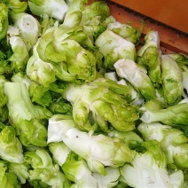 儿菜，大量出售
