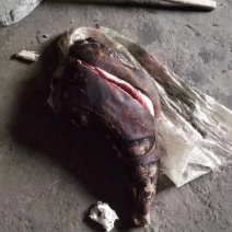腊肉