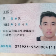 矮化占地桃树苗