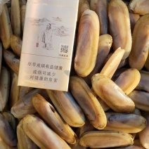 海蛏子单头的