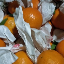 爱媛套袋高次🍊