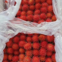 越南红毛丹