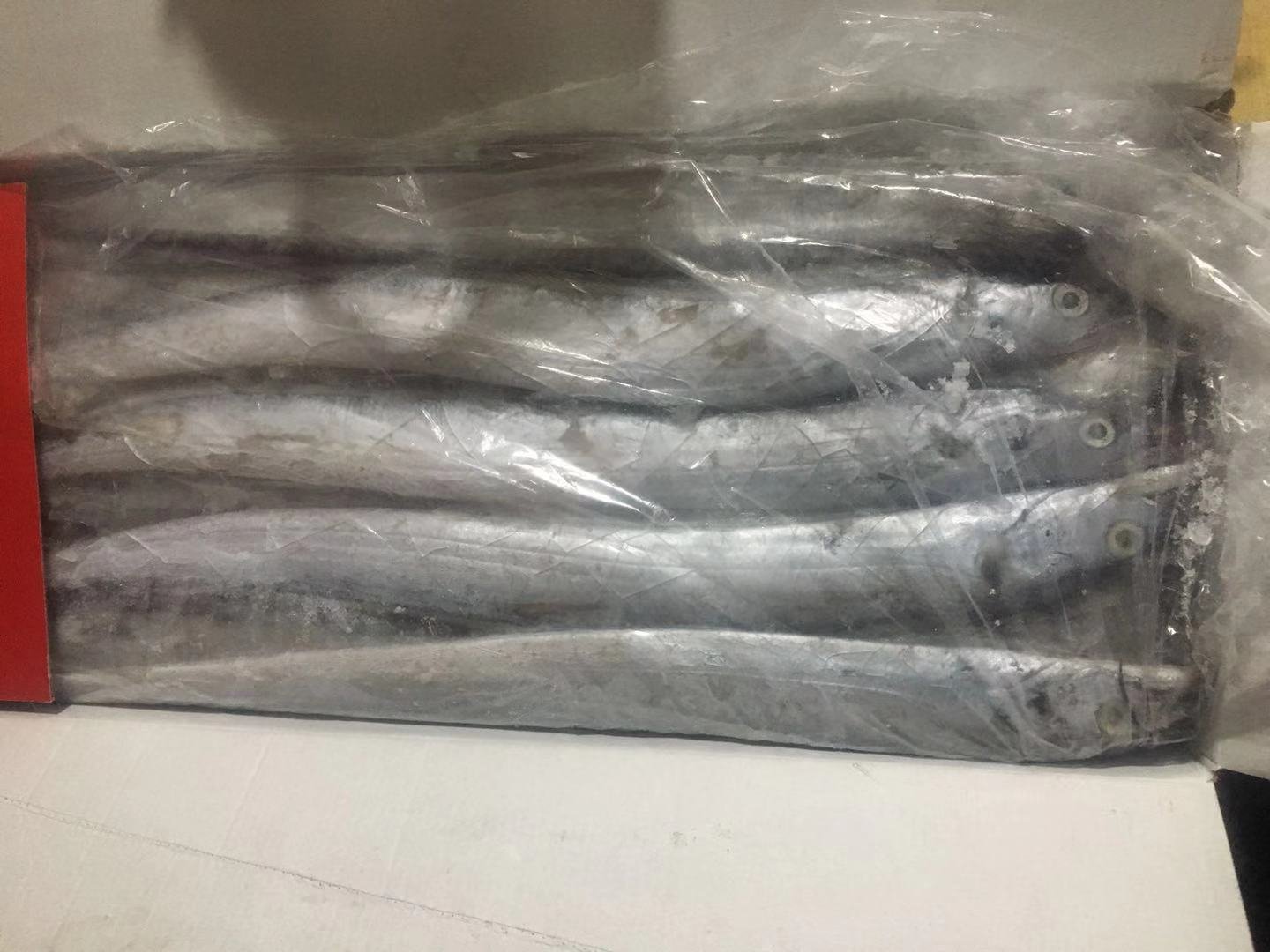 带鱼工厂冷库装车实景