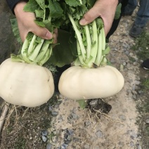 玉环干江正宗盘菜