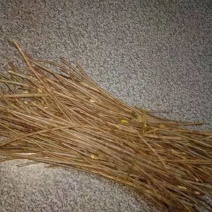 有大量水杨桃枝条出售