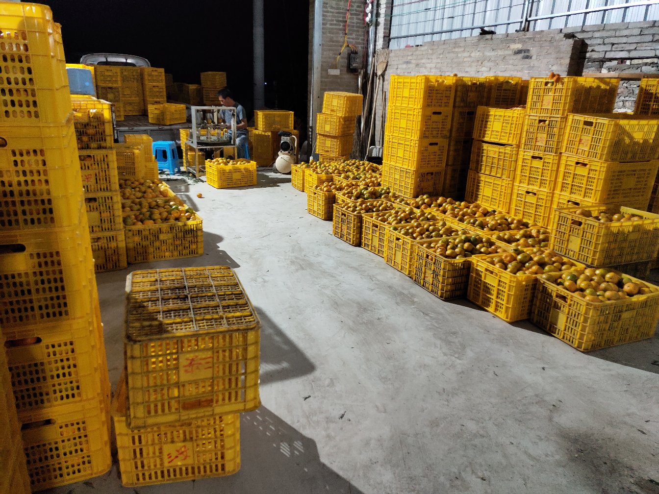展示黄皮蜜橘的多种加工产品,如果汁瓶装、果干包装、果酱罐子等 黄皮蜜橘加工产品