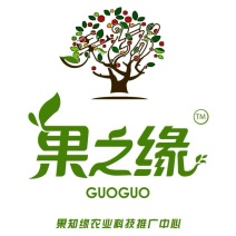 大樱桃苗木一至八年生，五百亩鲜果大樱桃农场，现采现发