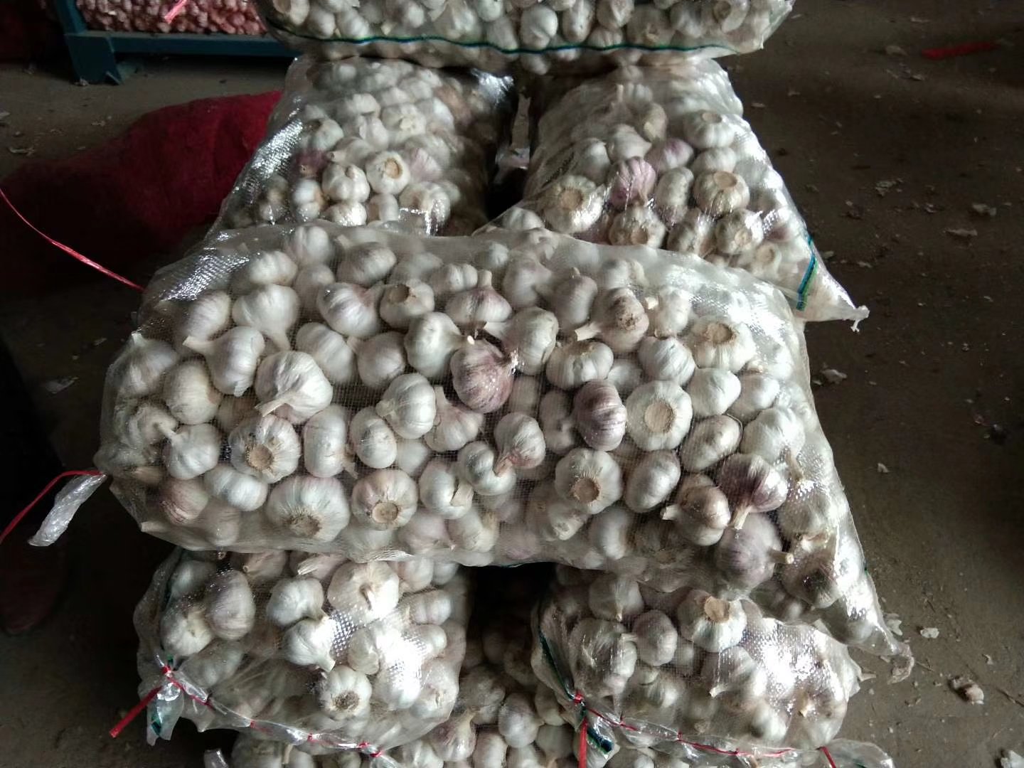 金乡蒜米分拣与包装车间