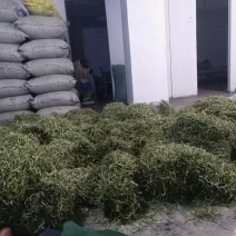 纯天然干豆角丝