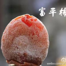 陕西富平柿饼5斤普通包装包邮