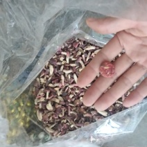 红菇野生小菇丁
