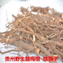 贵州野生腊梅根腊梅花根铁筷子岩马桑黄金茶黄梅根