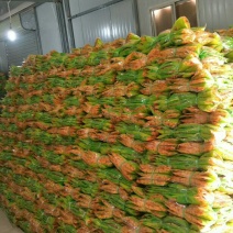腐竹