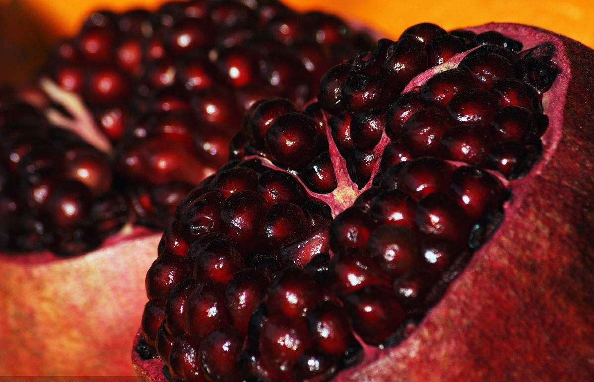 软籽石榴品种对比图