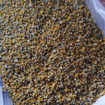 野菊花精品