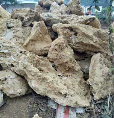 [上水石批发]上水石价格1.00元/盆 - 一亩田